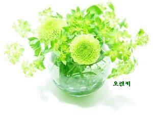 청아 이미지